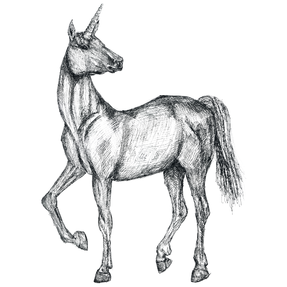 Das Einhorn am Obersee - Illustration: Klara Naynar Eine Illustration des Einhorns am Obersee von Klara Naynar