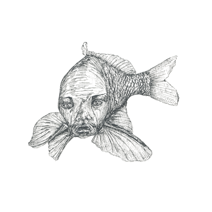 Der Pilatusfisch im Obersee - Illustration: Klara Naynar Eine Illustration des Pilatusfisches im Obersee von Klara Naynar